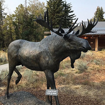 Wild Bronze mooseStatue