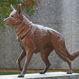 Bronze military dog statue