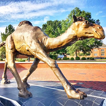 Campbell University Gaylord The Camel