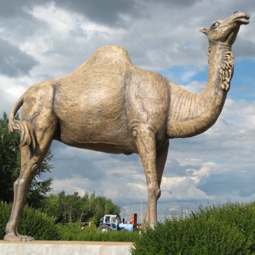 The camel sculptures in the tourist attraction.
