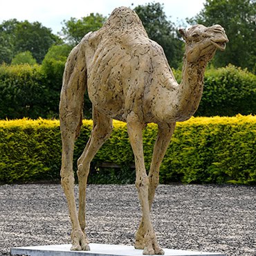 Standing camel statue.