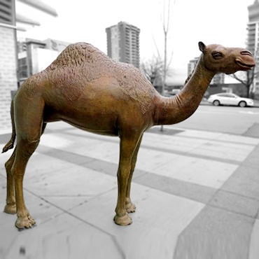 Famous bronze camel statue.
