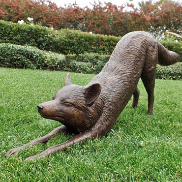 Stretching Bronze Fox